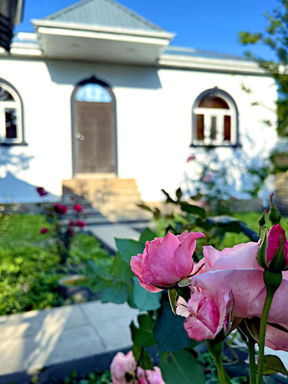 Property building, Spring, Day, Garden, Garden view
