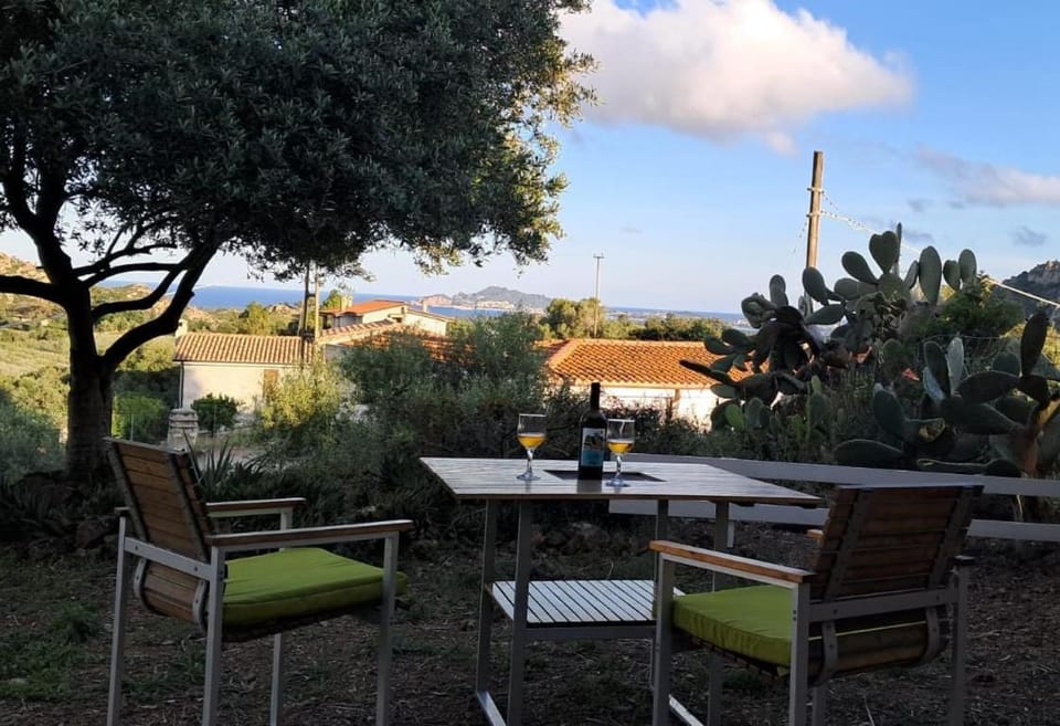 Garden, Sea view