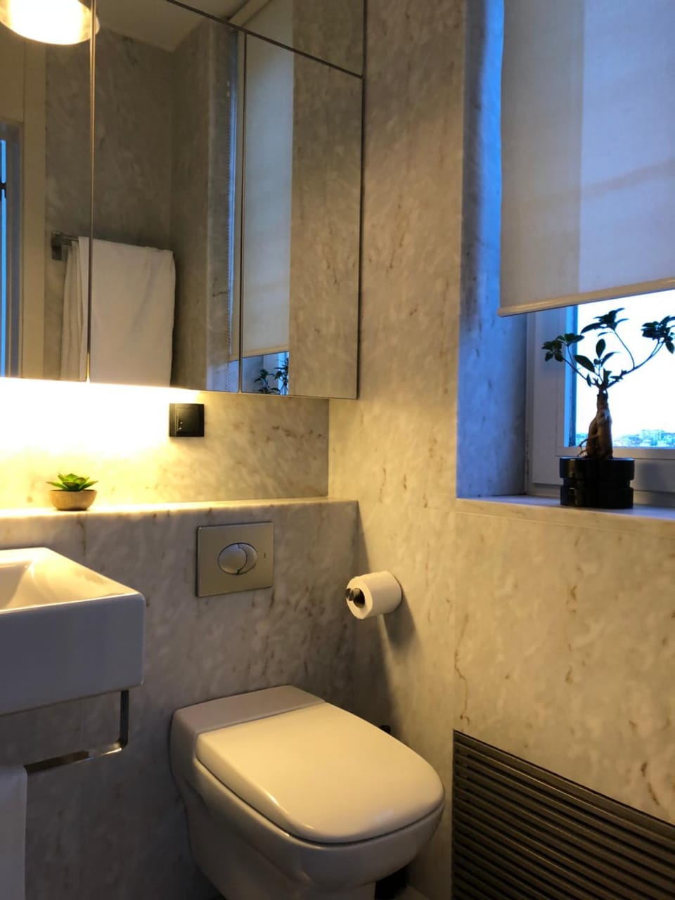 Toilet
