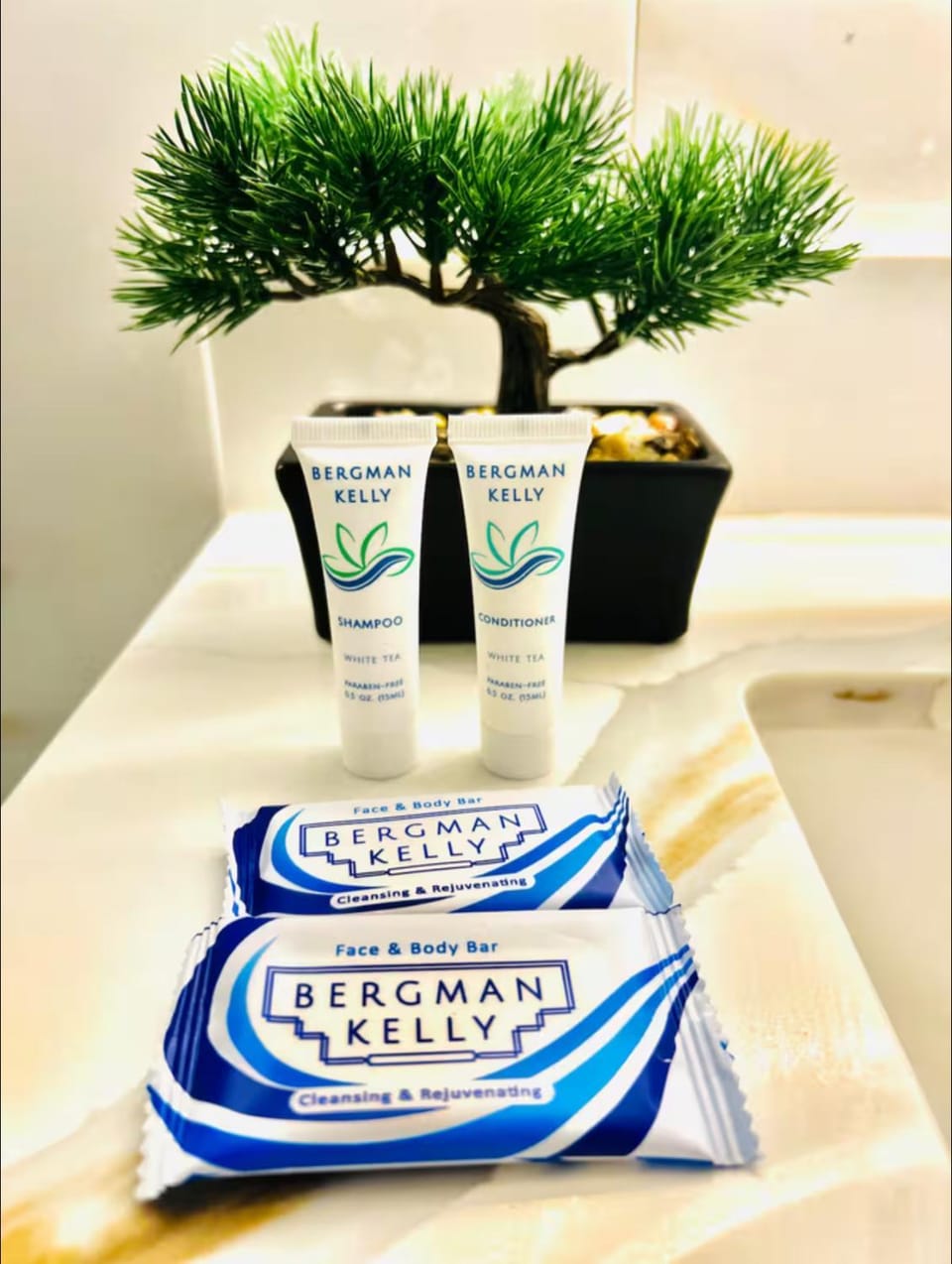 The Sleek Shelter House in Milton