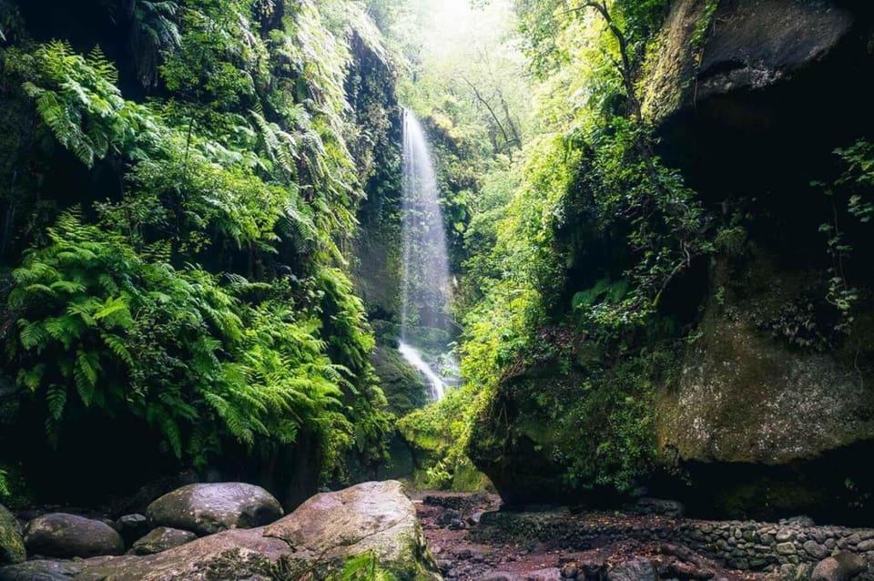 Natural landscape
