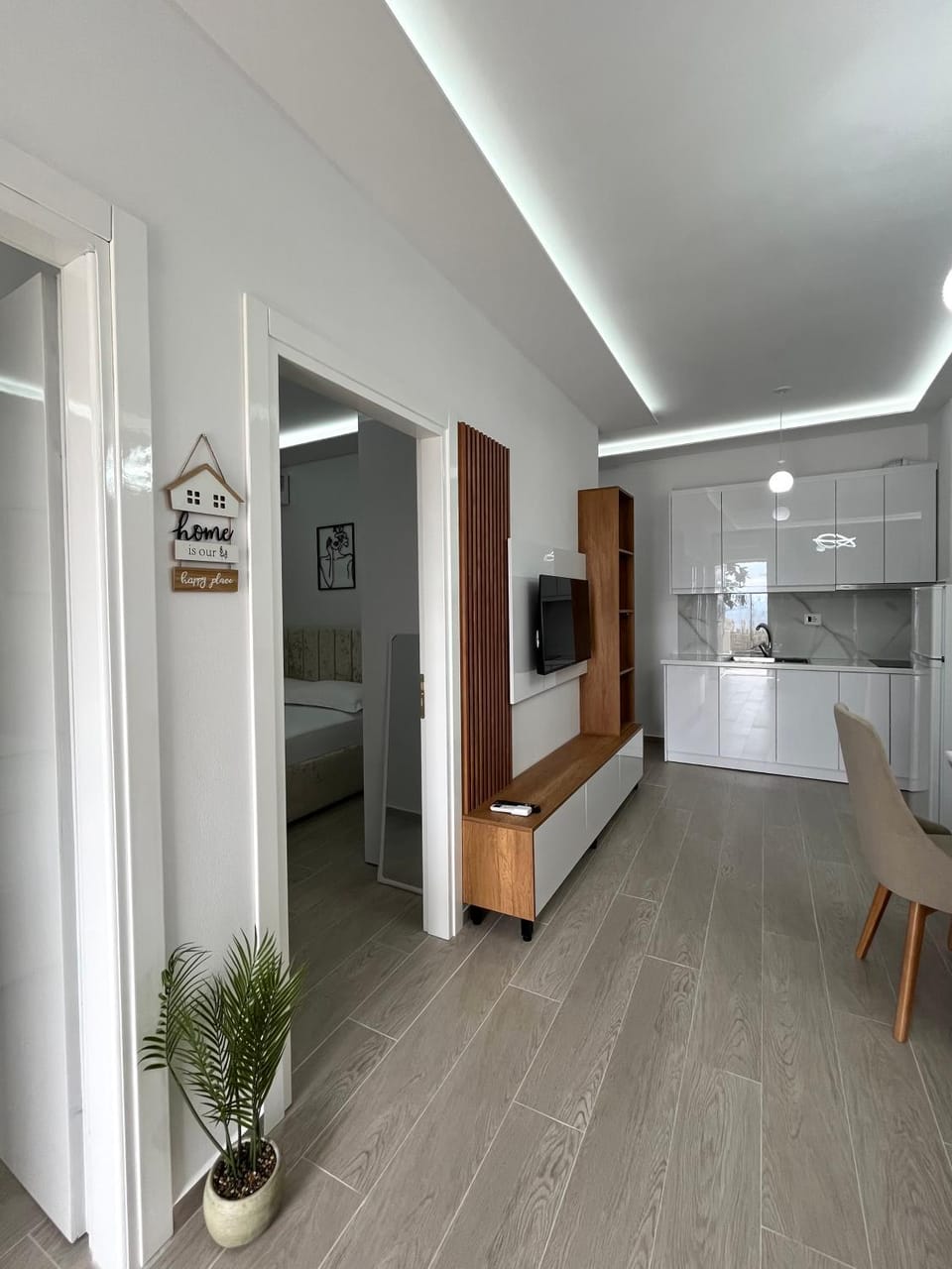 Living room, kitchen