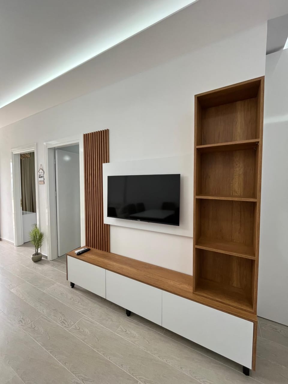 TV and multimedia
