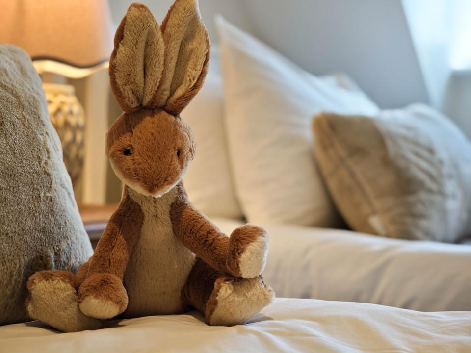 Hare Cottage House in North Norfolk District