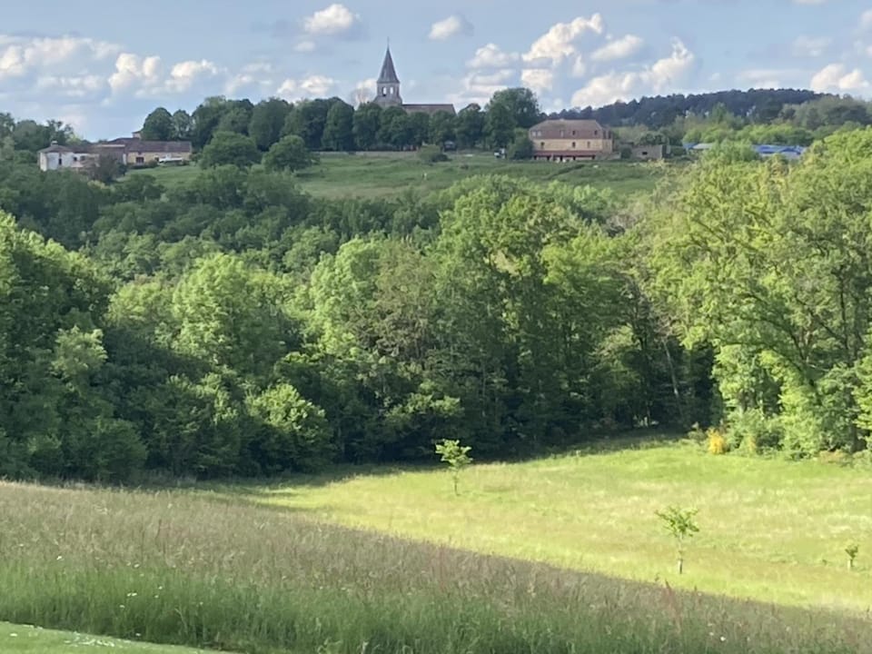 Summer, View (from property/room)
