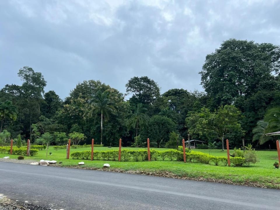 Natural landscape, Garden view