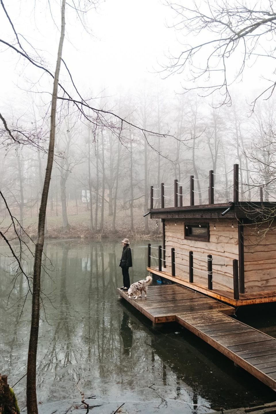 Lake view