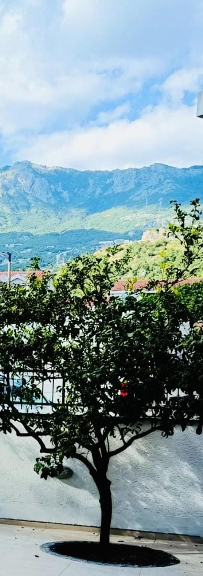 Patio, Garden, Balcony/Terrace, Mountain view