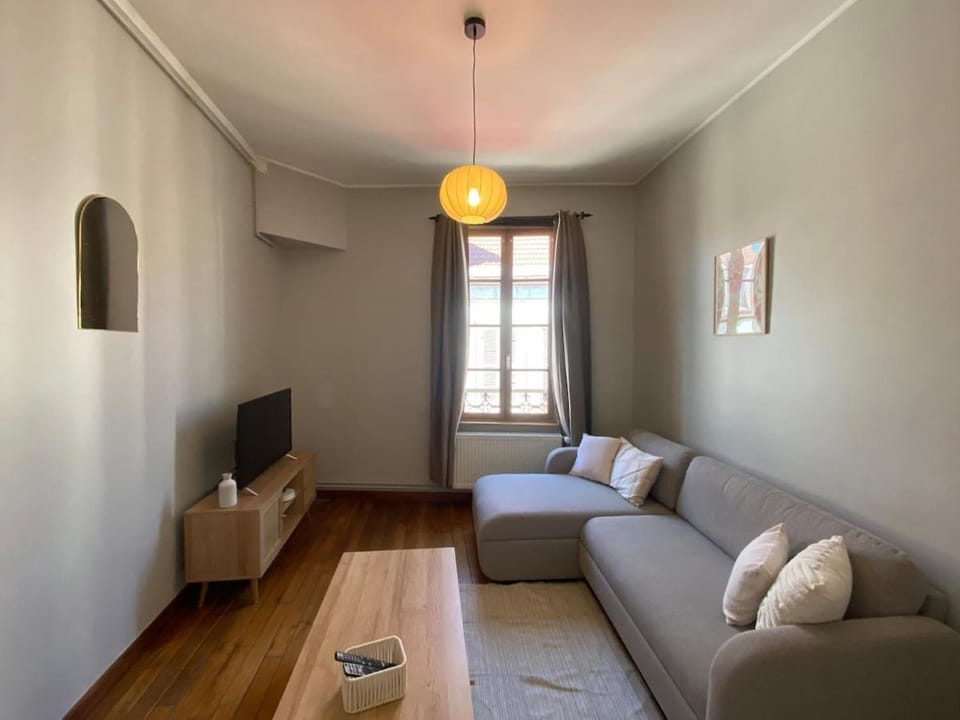 Appartement de charme au cœur du centre ville historique Apartment in Bourgogne-Franche-Comté