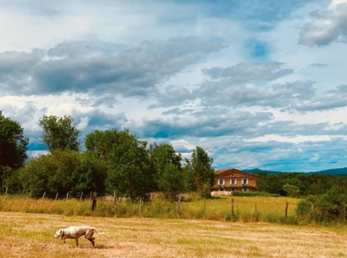 Ferme de Jeanleix Bed and Breakfast in Auvergne-Rhône-Alpes
