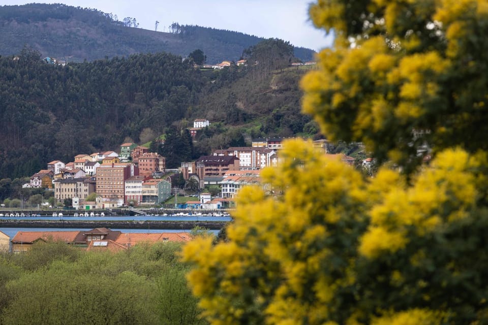 Day, Natural landscape, Mountain view