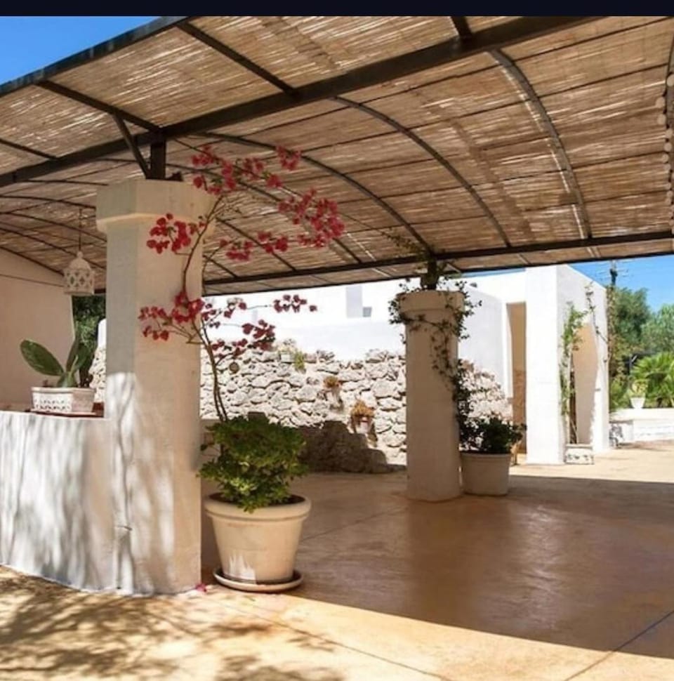 Balcony/Terrace, Garden view