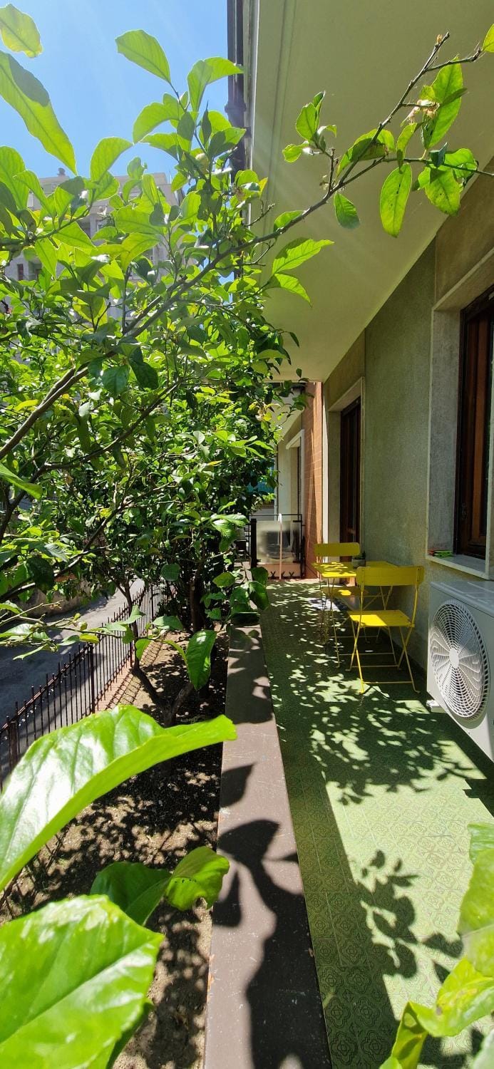 Balcony/Terrace, Garden view