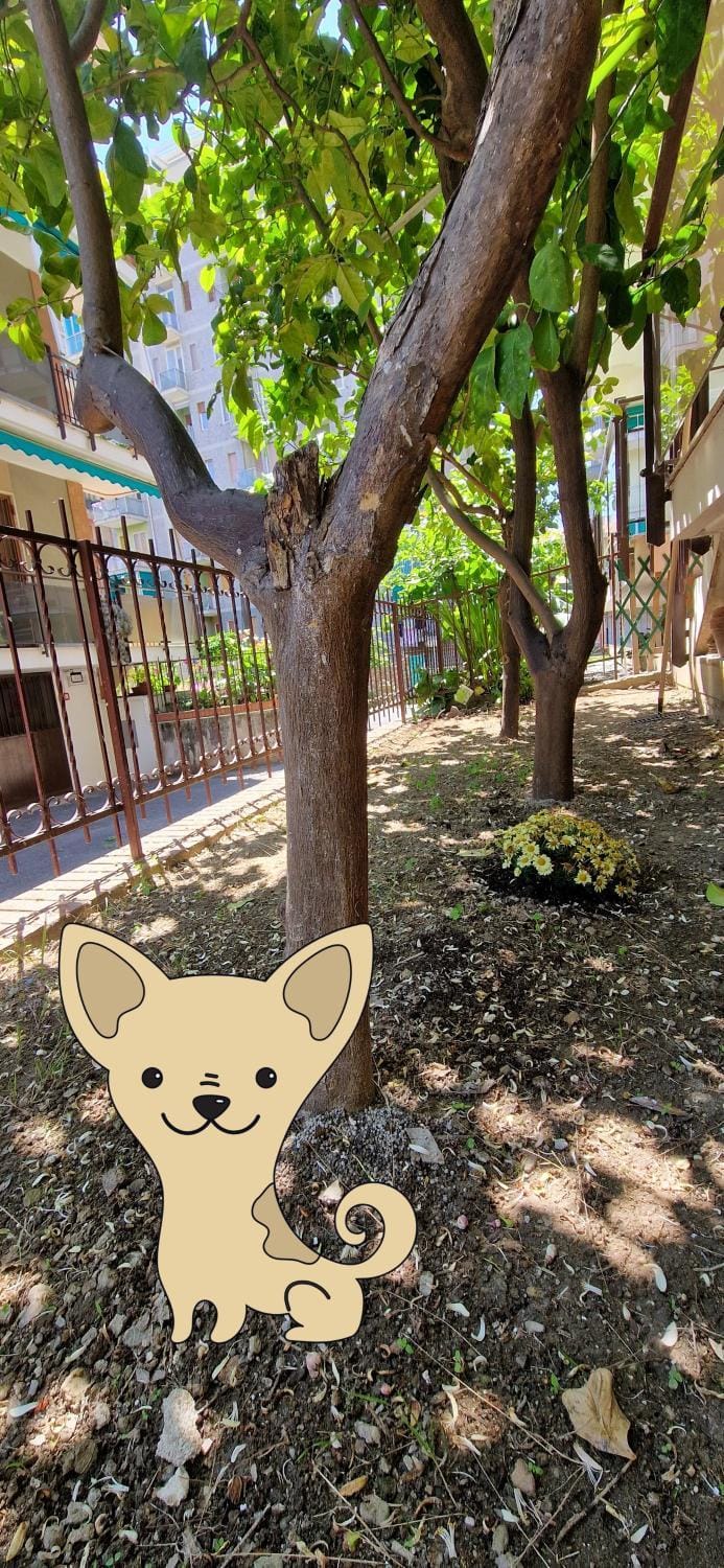 Garden, Garden, pet friendly