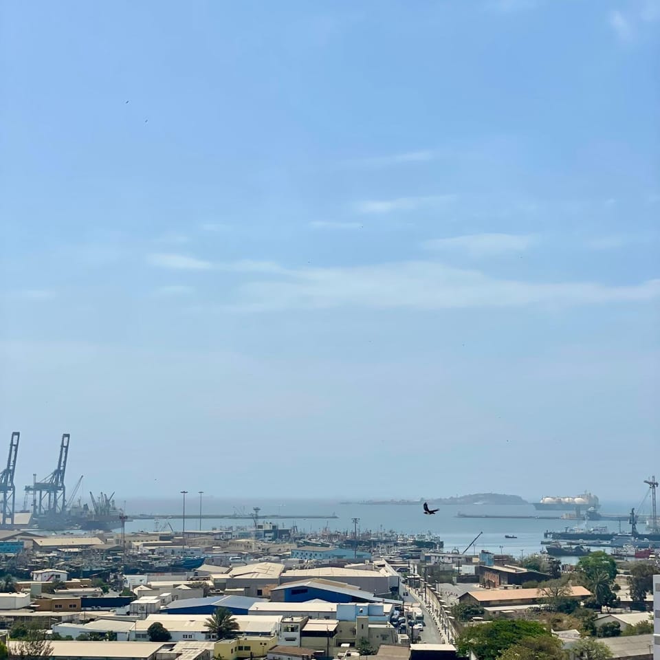 View (from property/room)