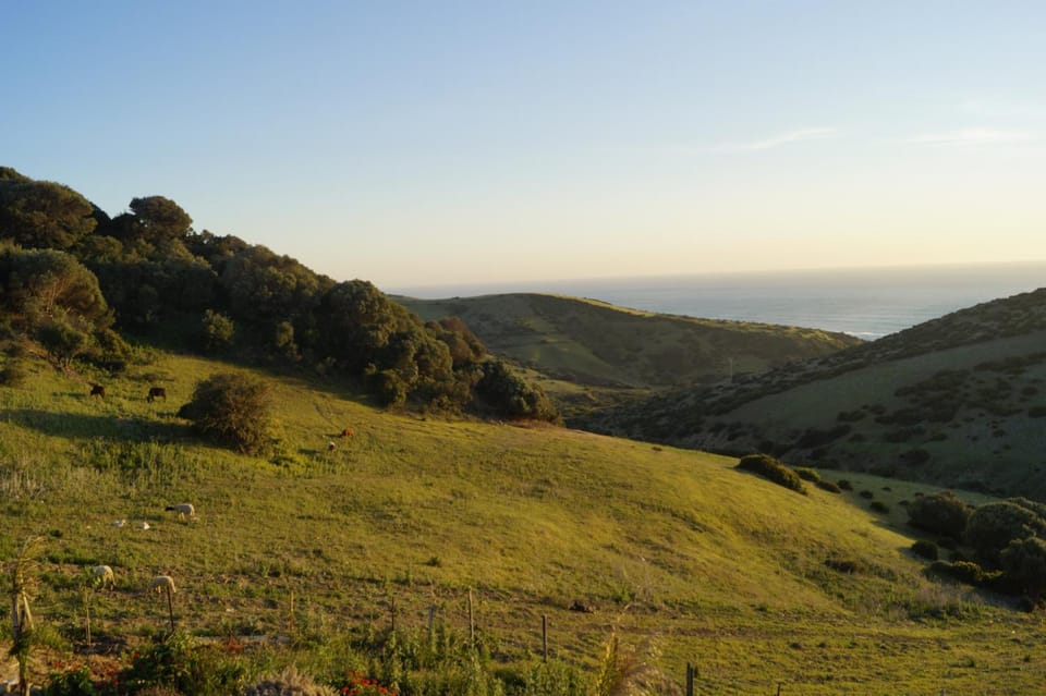 Spring, Day, Natural landscape, Mountain view, Sea view