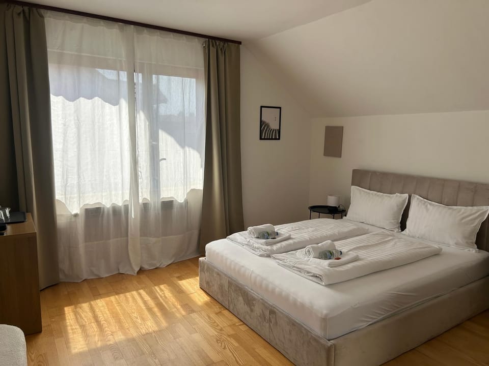Near airport Zagreb 3, WiFi, Netflix, Self check in Apartment in Slovenia