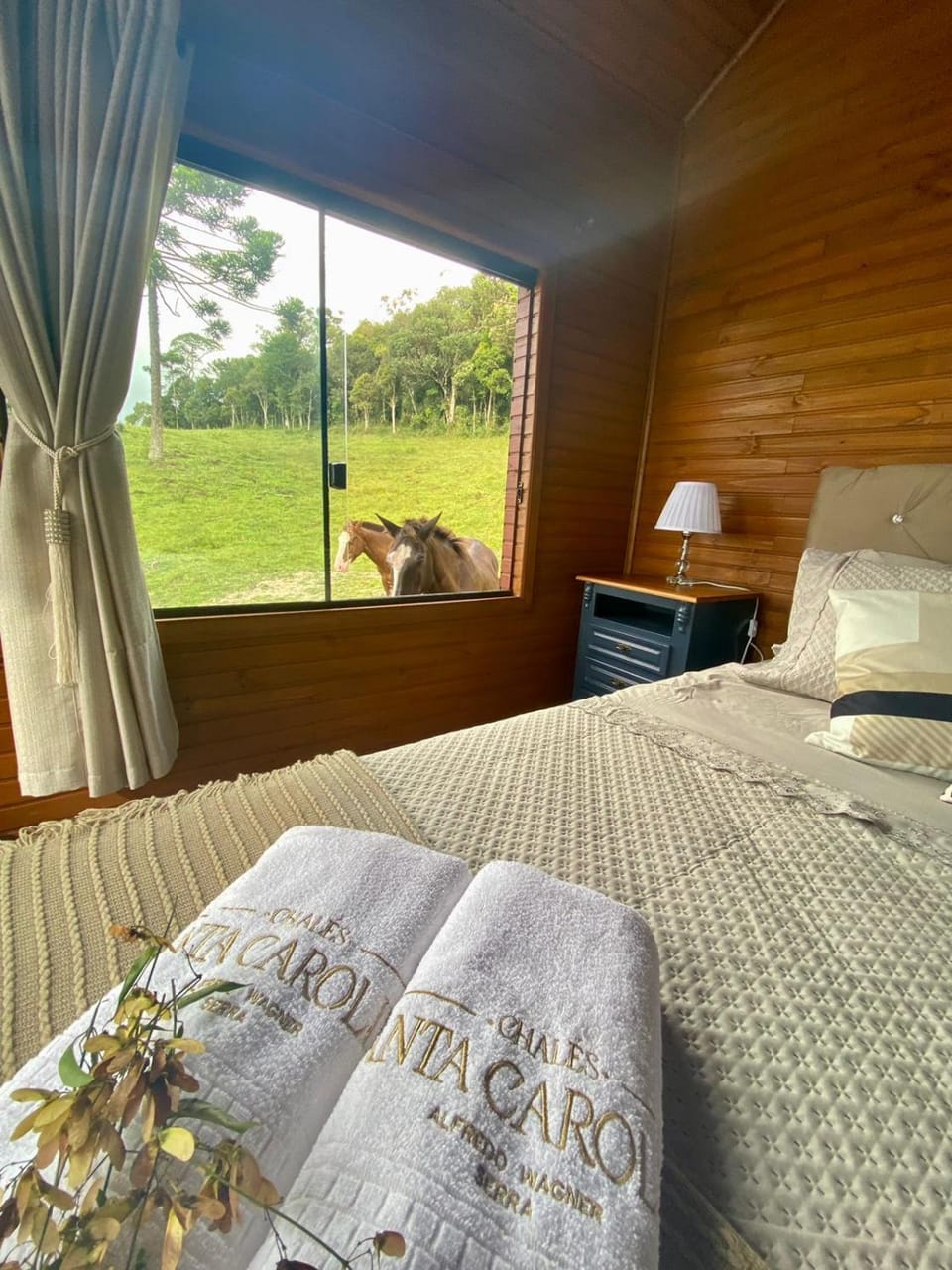 Bed, Photo of the whole room, Animals, Bedroom