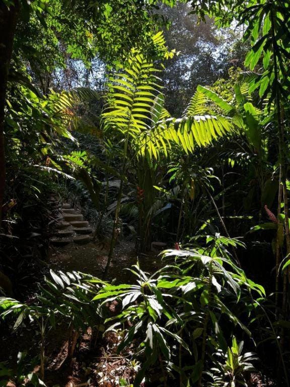 Bromelias Villa in Tambor