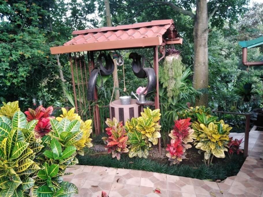 Bromelias Villa in Tambor