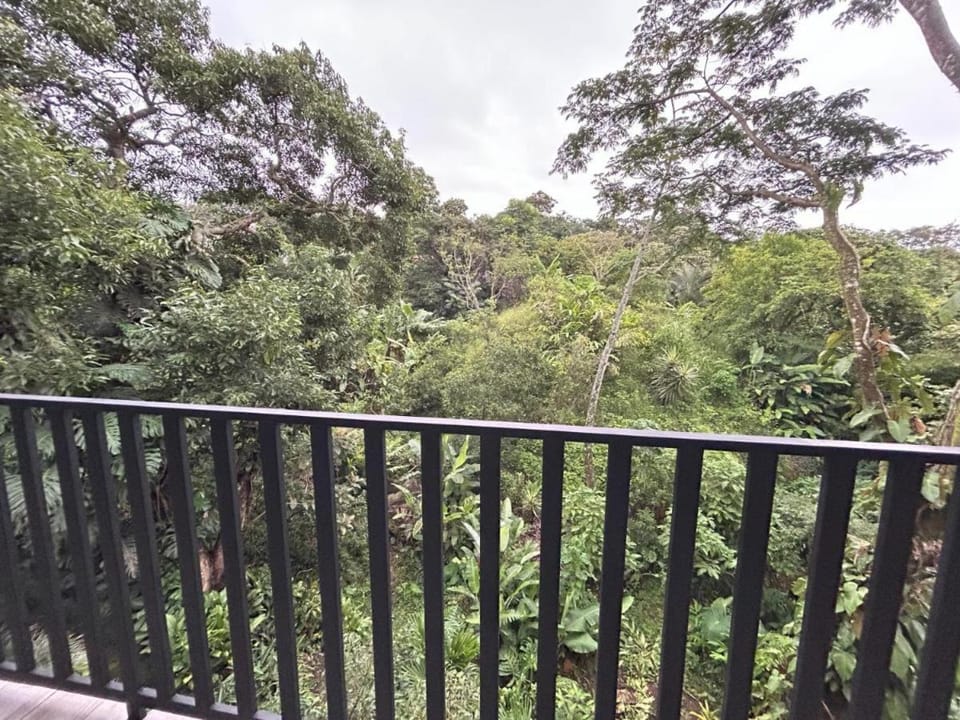 Bromelias Villa in Tambor