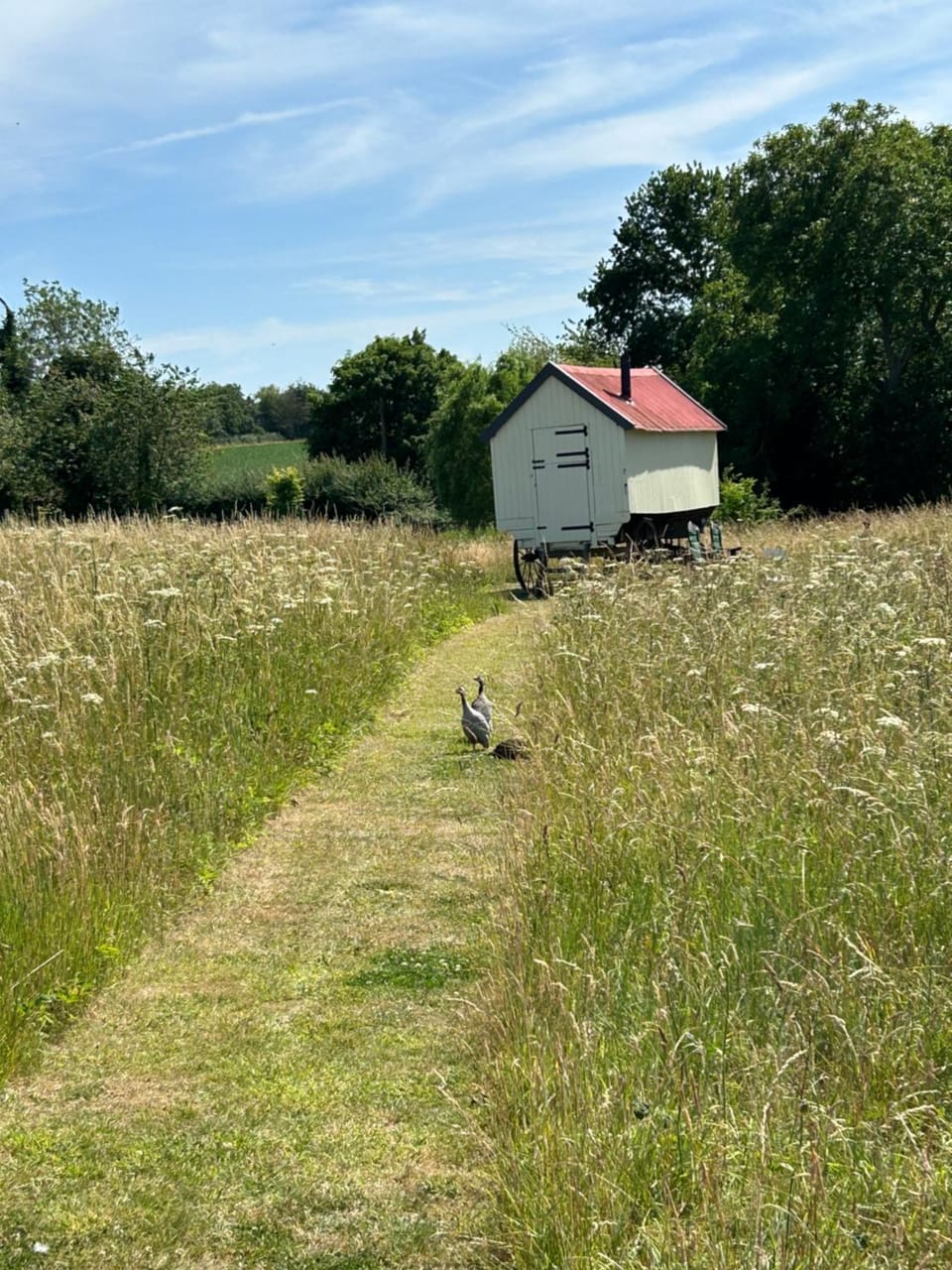 The Shepherds Hut Luxury tent in North Norfolk District
