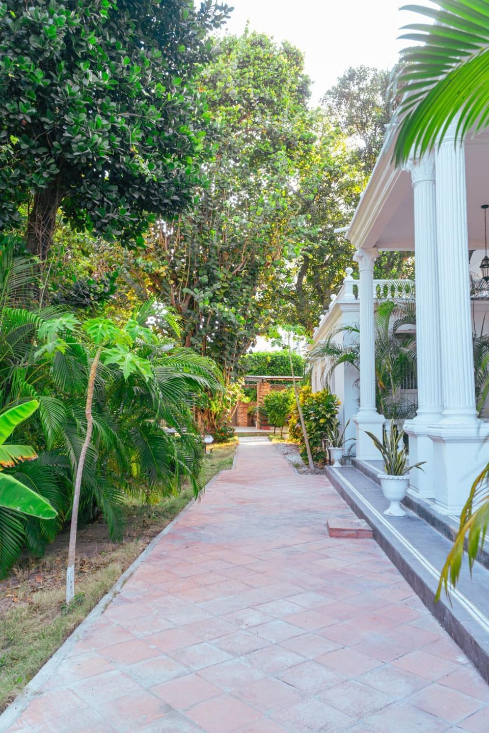 Garden, Balcony/Terrace