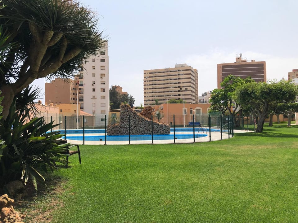 Garden, Swimming pool, Swimming pool