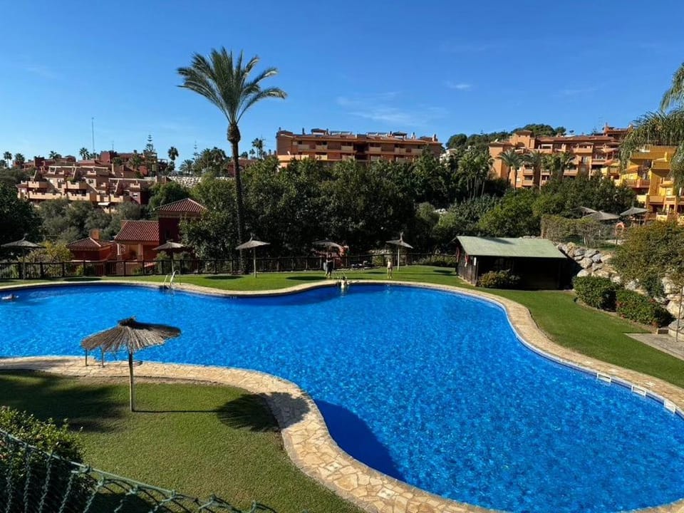 Property building, Garden, Garden view, Pool view, Swimming pool