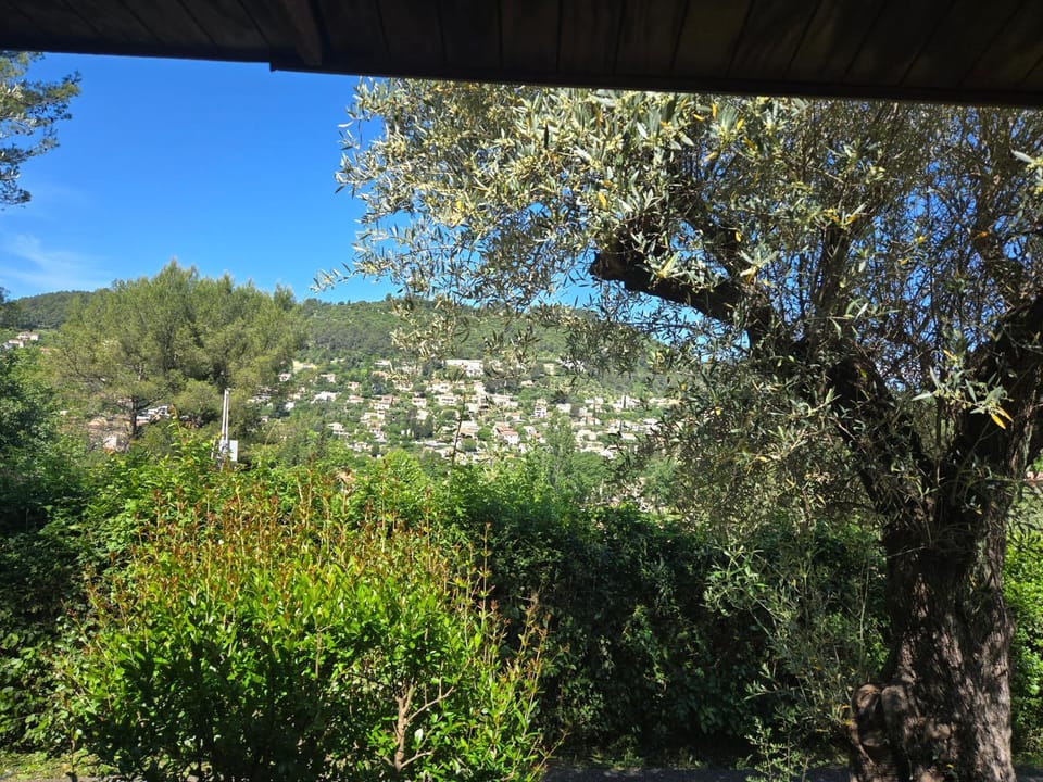 Cottage varrois Chalet in Solliès-Toucas