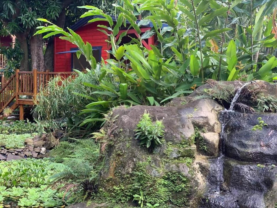 Garden view