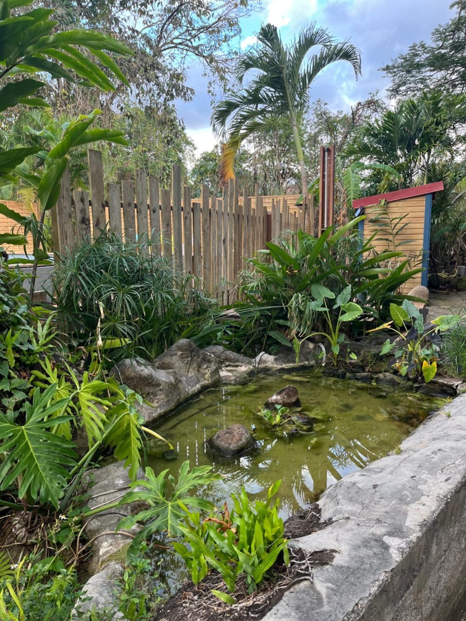 Garden, Garden view