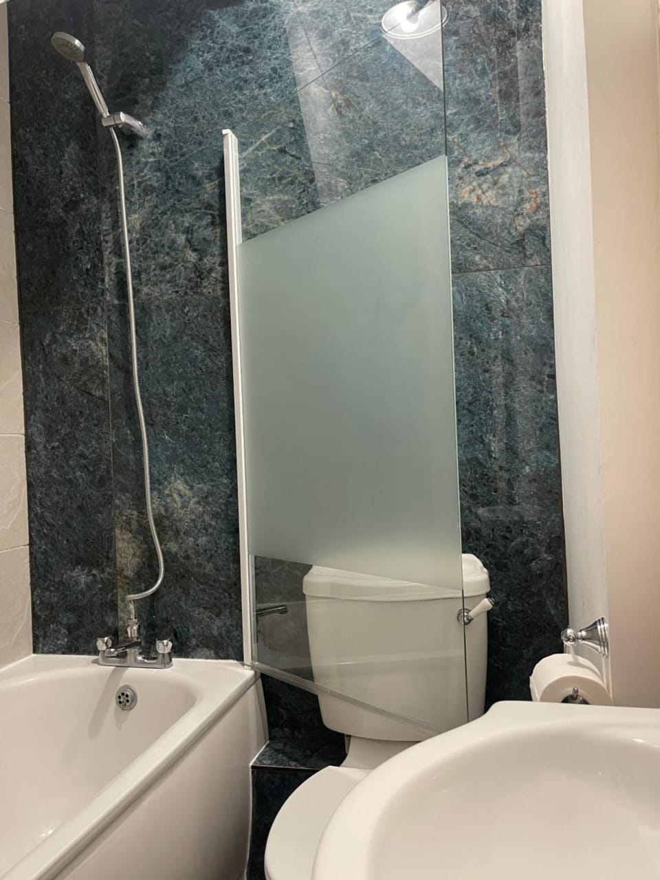 Brixton Attic Vacation rental in London