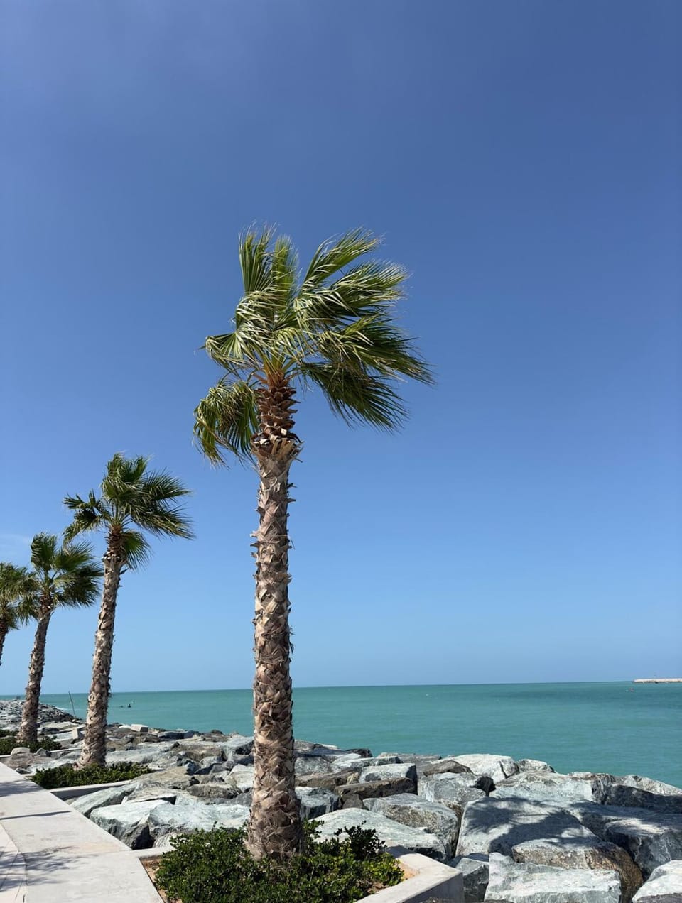 Sea view