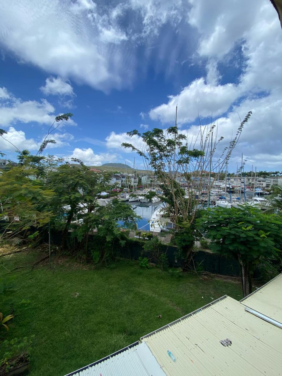 Day, Natural landscape, Garden, Balcony/Terrace, Garden view