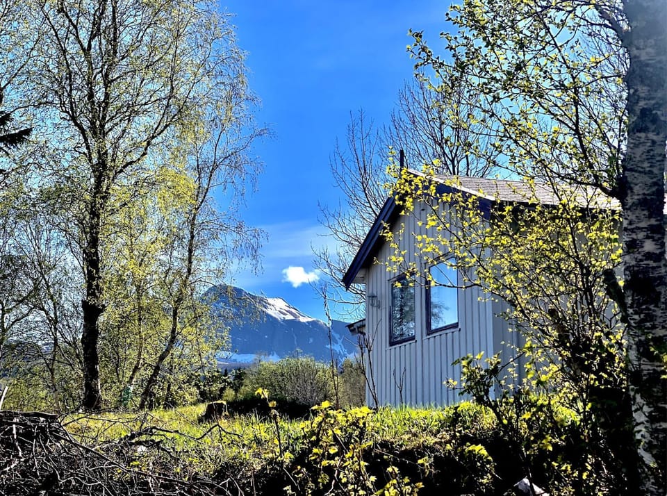Remote Island Cottage Retreat in Norwegian Fjords Chalet in Nordland, Norway