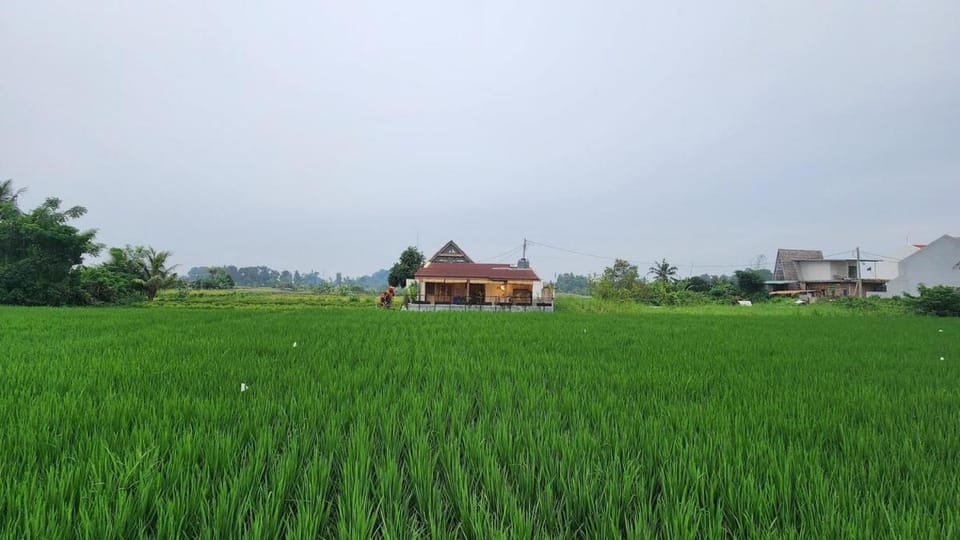 Brand New - Amman Villa with Stunning Rice Field View Ubud Villa in Abiansemal