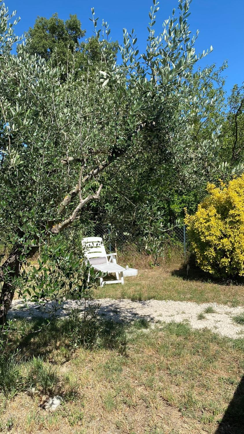 Spring, Day, Natural landscape, Garden, Garden view