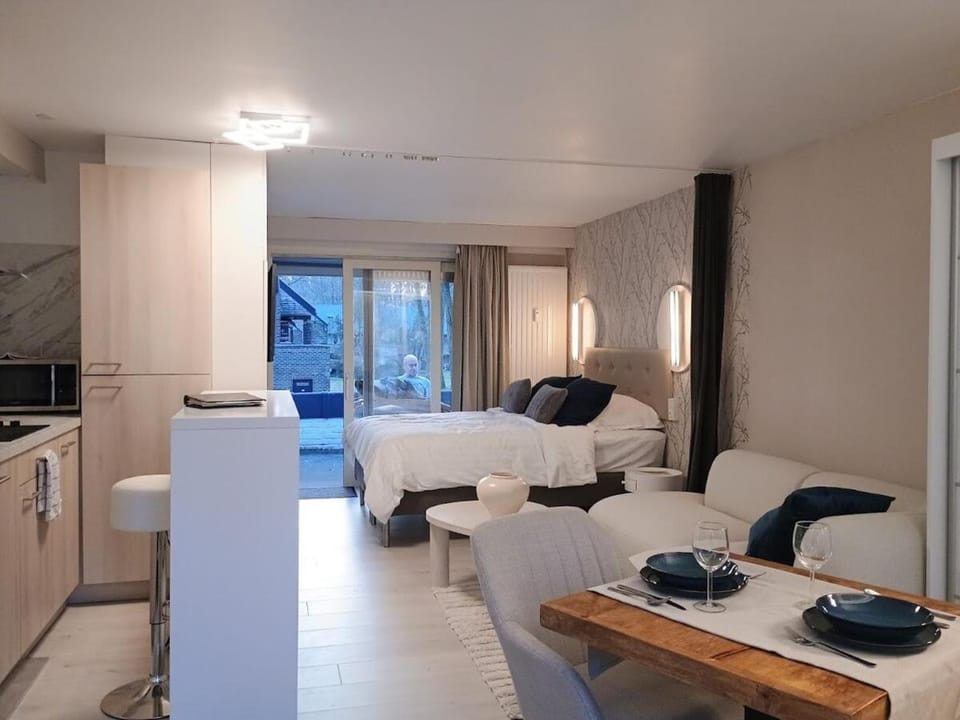 Bed, Kitchen or kitchenette, Living room, Photo of the whole room, Dining area, Bedroom