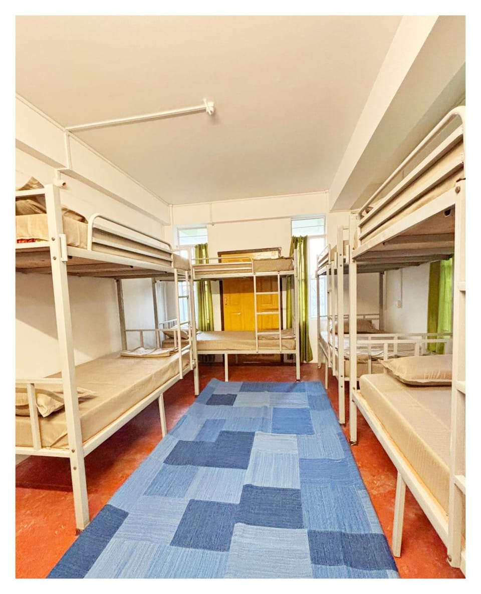 Bed, Photo of the whole room, Bedroom, bunk bed