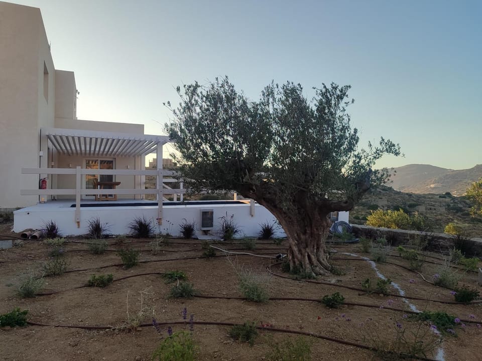 Bonsai Luxury Villas Naxos House in Naxos, Naxos and Lesser Cyclades, Greece