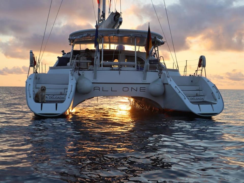 ALL ONE Catamaran Docked boat in Ponta Delgada