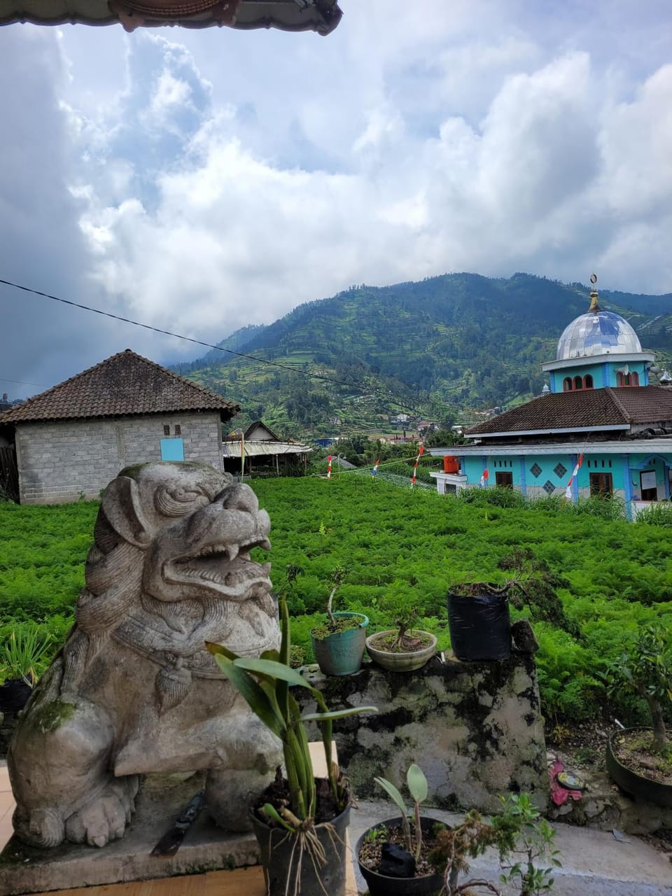 Mountain view