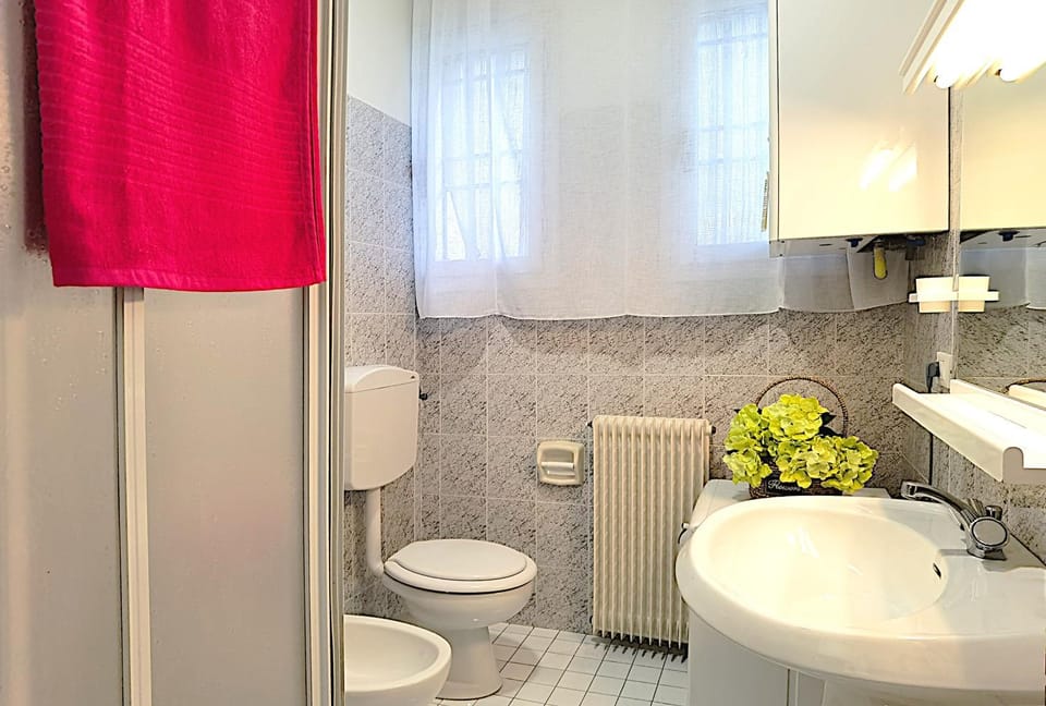 Toilet, Bathroom, bidet