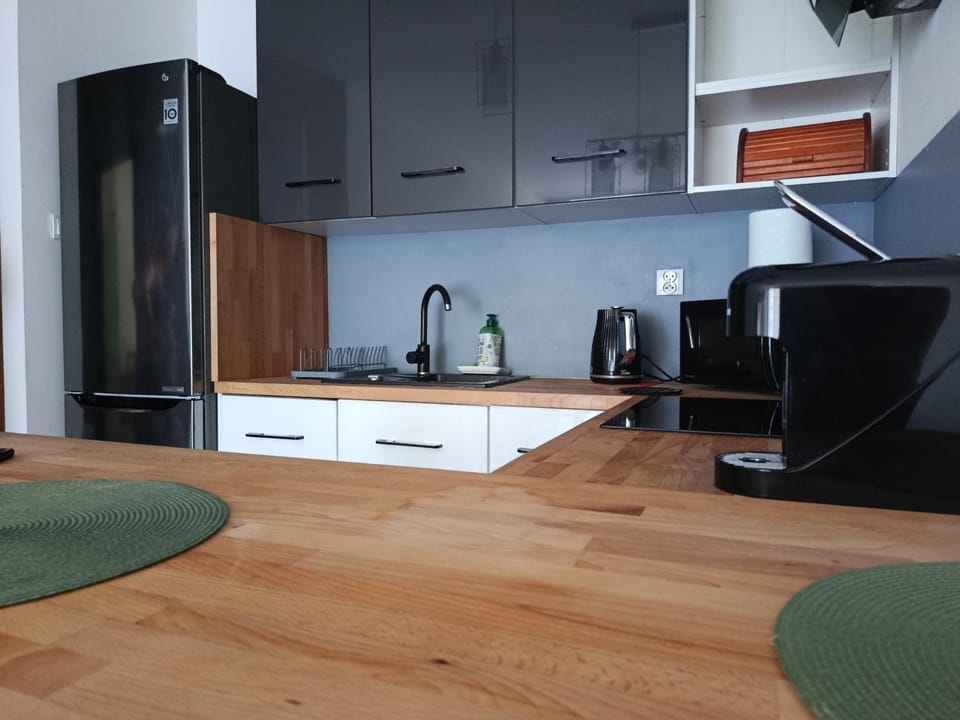 Fajny Apartament EXPO TAURON ARENA Apartment in Krakow