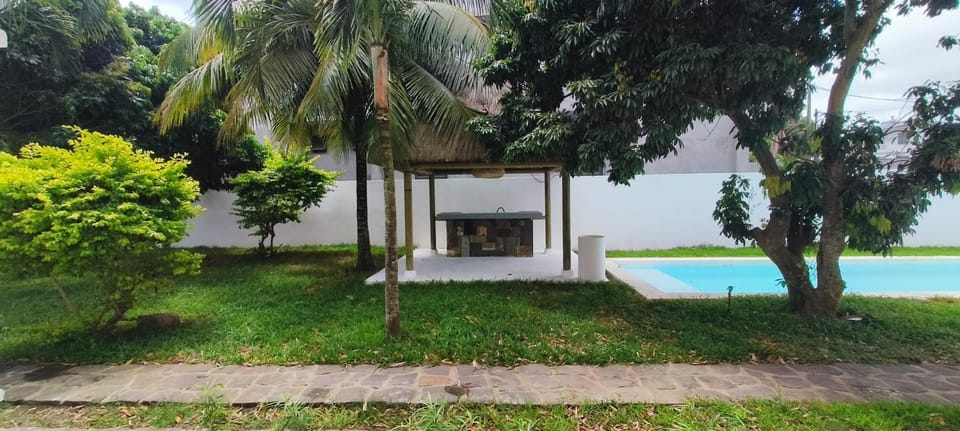 Patio, Garden, Garden view