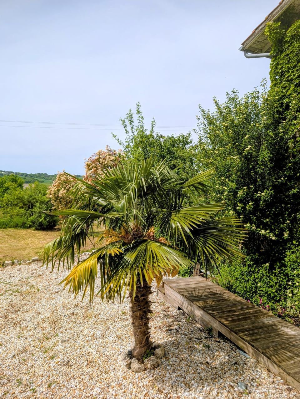 Gîte Belle, Piscine privée, vue sur la campagne House in Nouvelle-Aquitaine