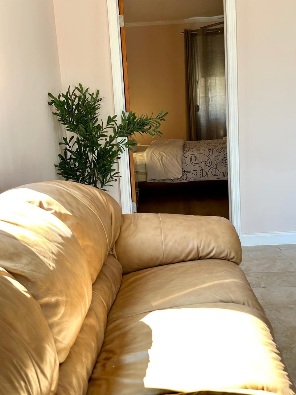 Living room, Photo of the whole room
