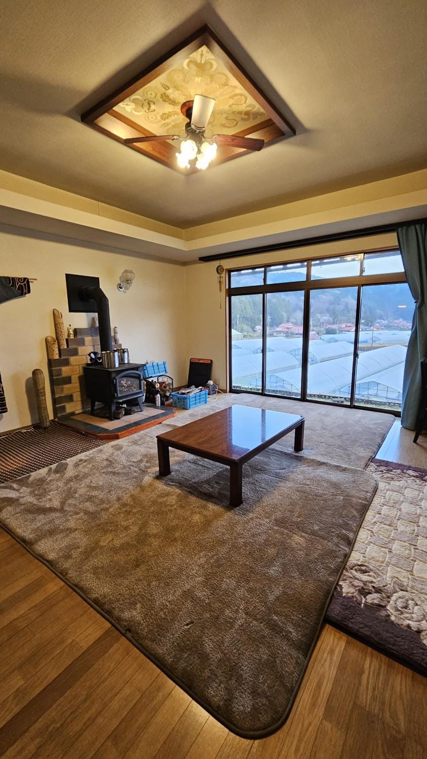 Living room, fireplace