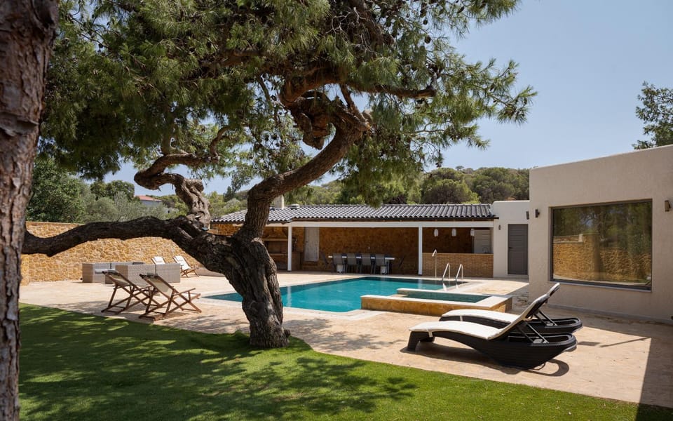 Patio, Day, Garden, Garden view, Pool view, Swimming pool, sunbed